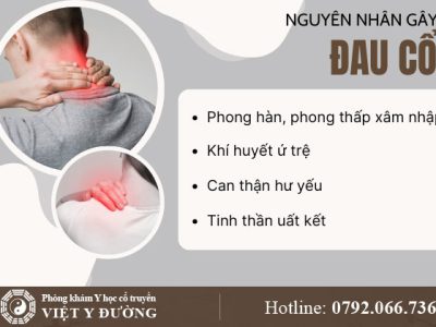 nguyen-nhan-dau-co-0