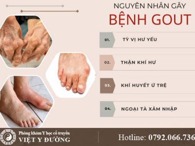 nguyen-nhan-gay-benh-gout